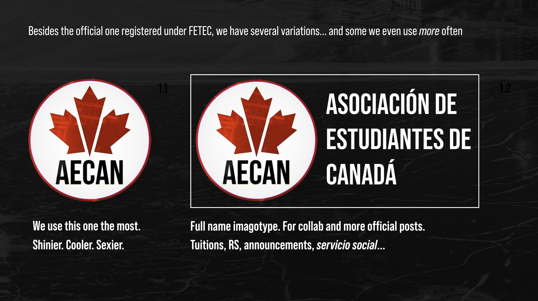 AECAN logo system: the red maple-leaf badge beside the full imagotype, Asociación de Estudiantes de Canadá
