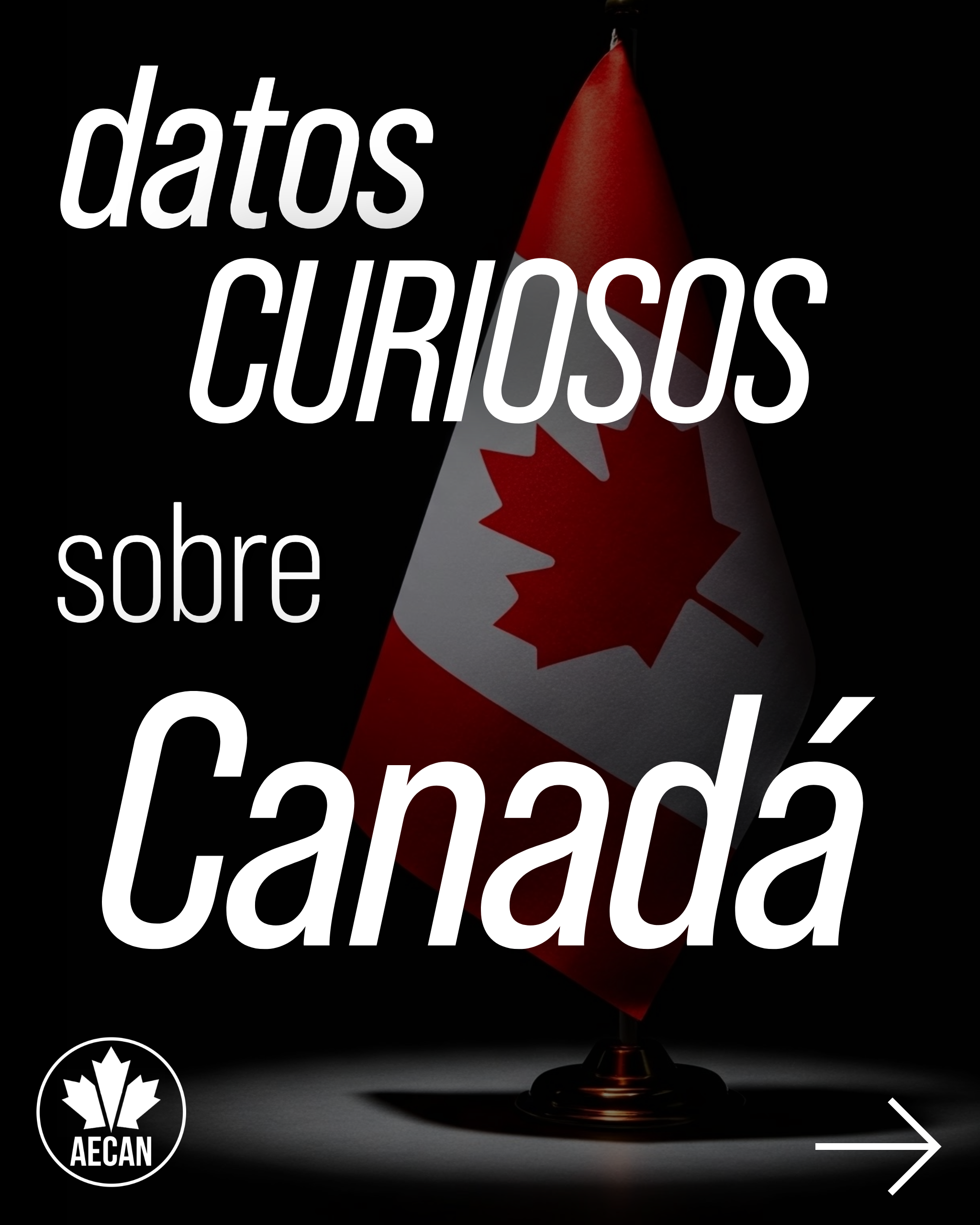 Datos curiosos sobre Canadá series opener: the Canadian flag on black