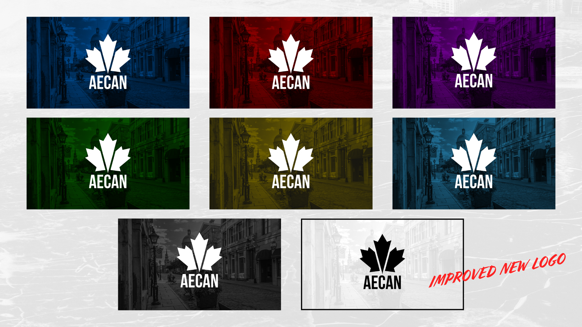 The AECAN maple-leaf mark in eight colorways laid over street photography