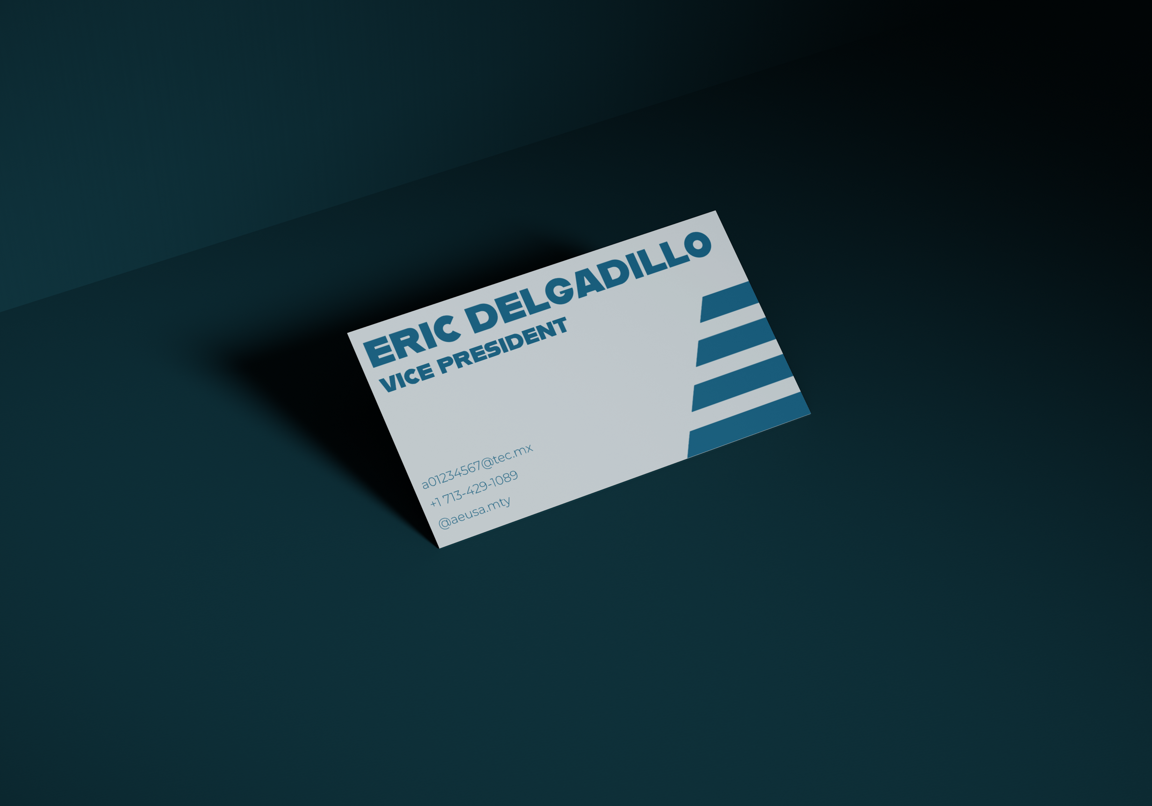 AEUSA vice-president business card in navy with the diagonal stripe motif